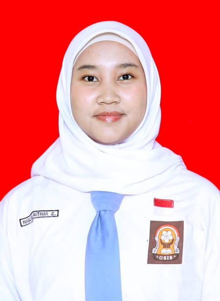 Nailul Authur Setiawan